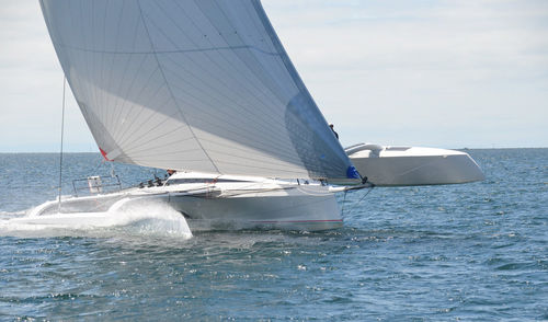 Trimarano - TR 42 Performance - Nautisch Centrum Delfzijl - da crociera / con 4 cabine / con bompresso