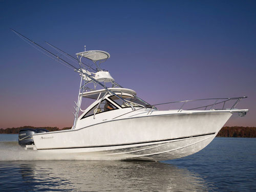 Cabinato fuoribordo - 29 EXPRESS - Albemarle - bimotore / da pesca sportiva / con 4 cuccette
