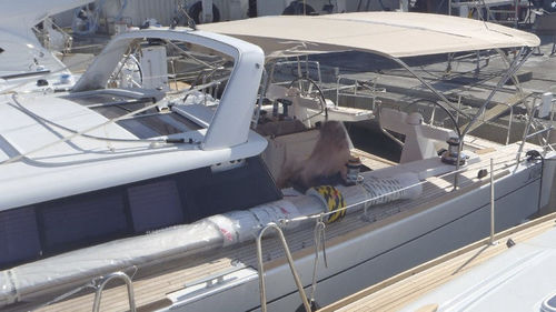 Tendalino parasole per barca a vela - Sense 50 - KAPELL ANNAT - per cabina di pilotaggio / con struttura in acciaio inossidabile / beige