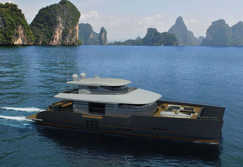 Motor-yacht catamarano a motore - BLUE COAST 100’ POWER - Catamaris - da crociera d'altura / convertibile / con fly