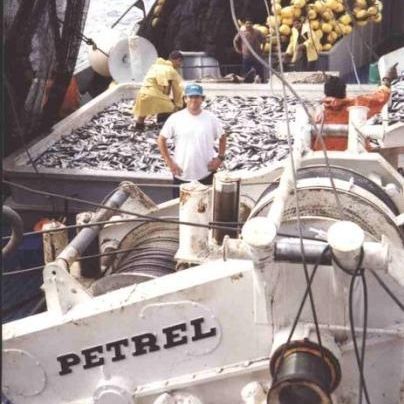 Argano per nave - PW-125-LSDA-SF3+3(B45) - Petrel International - per rete a circuizione / con motore idraulico / in cascata