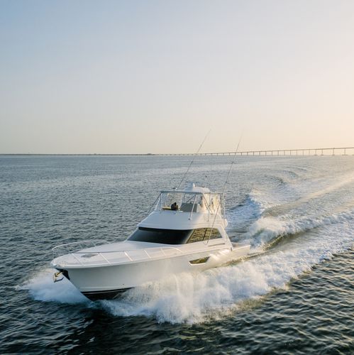 Motor-yacht da crociera - 61C - Bertram - da pesca sportiva / con fly / con 3 cabine