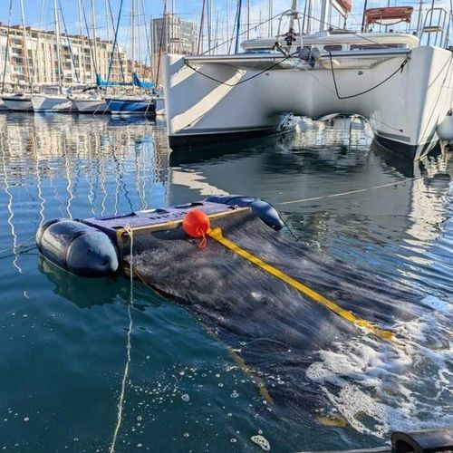 Drone marino per la raccolta di rifiuti - DPOL® Max - EKKOPOL - autonomo / cablato / elettrico