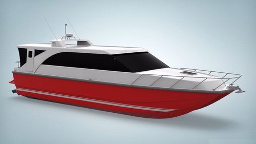 Cabinato catamarano - 17m - Brythonic Yachts - a idrogetto / bimotore / hard-top