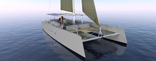 Catamarano - NAVIS 50 - NAVIS LR - da crociera costiera / daysailer / con 2 cabine