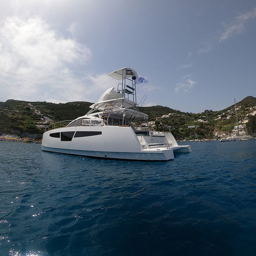 Cabinato catamarano - C-Cat 40 PWF - Comar Yachts - entrobordo / bimotore / con fly