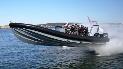 Barca professionale fuoribordo - SEABLADE 40 - ICE MARINE - gommone semirigido