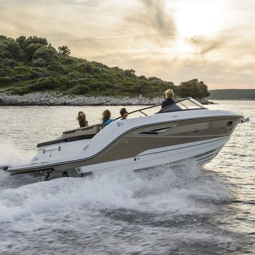 Runabout entrofuoribordo - SUN SPORT 250 - Sea Ray - con dual console / open / da sci nautico