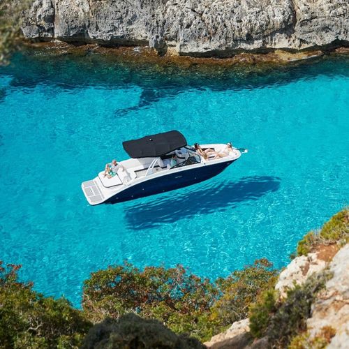 Deck boat entrobordo - SDX 270 - Sea Ray - con dual console / open / bow-rider