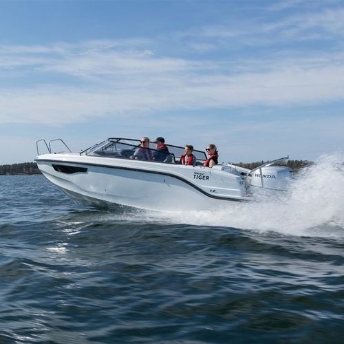 Day cruiser fuoribordo - TIGER DC - Silver - open / in fibra di vetro / max. 8 persone