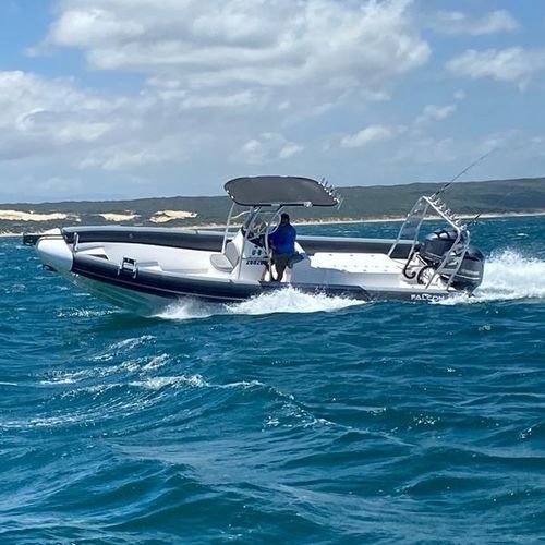 Gommone fuoribordo - 900 - Falcon Inflatables - a benzina / diesel / elettrico