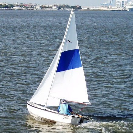 Barca a vela daysailer - PENNANT - American Sail