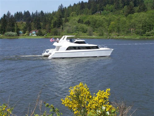Motor-yacht catamarano - Pedigree Cat 60 - Pedigree Cats - da crociera / con fly / dislocante