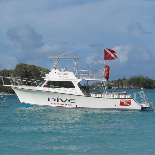 Cabinato entrobordo - 42'  - Newton Boats - bimotore / con fly / da immersione