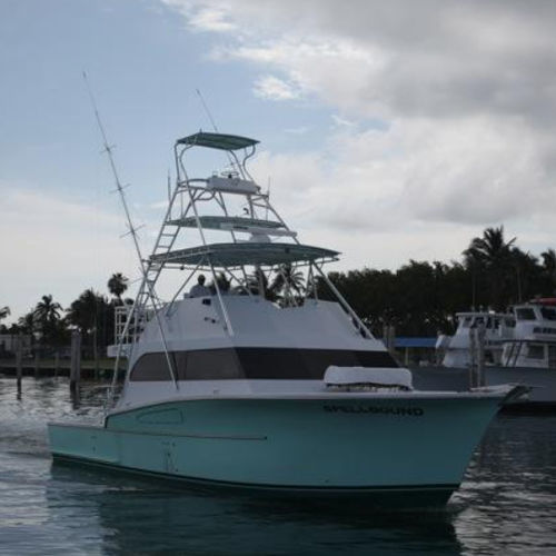 Motor-yacht da charter - 53'  - Newton Boats - da pesca sportiva / con fly / con scafo planante