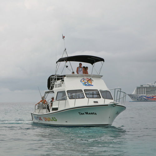 Barca professionale barca per trasporto passeggeri - Newton 36' - Newton Boats - barca di supporto per immersioni / entrobordo / in fibra di vetro
