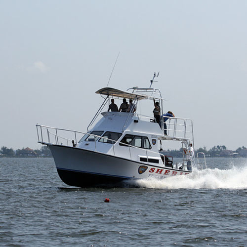 Barca professionale nave di ricerca e salvataggio - 36' - Newton Boats - entrobordo