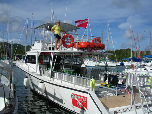 Barca professionale barca di supporto per immersioni - 46' Dive Special - Newton Boats - entrobordo
