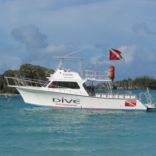 Barca professionale barca di supporto per immersioni - 42' Dive Special - Newton Boats - entrobordo