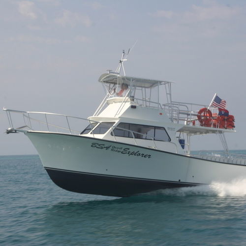 Cabinato entrobordo - 46'  - Newton Boats - bimotore / con fly chiuso / da charter
