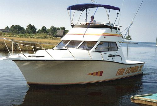 Cabinato entrobordo - 32'  - Newton Boats - bimotore / con fly / da pesca sportiva