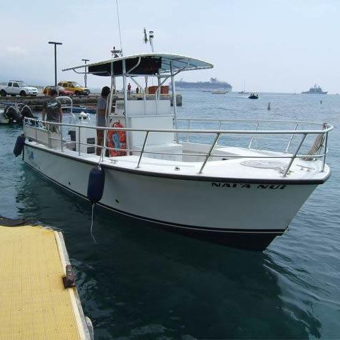 Barca open entrobordo - Newton 31' - Newton Boats - diesel / con scafo planante / con console centrale