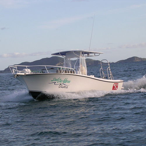Barca open entrobordo - Newton 26' - Newton Boats - con motore diesel / con console centrale / hard-top