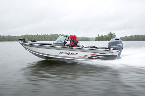 Bay boat fuoribordo - TOURNAMENT SPORT 195 - Alumacraft - con dual console / da pesca sportiva / in alluminio