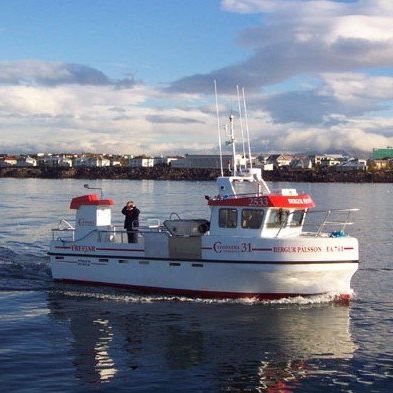 Barca professionale barca da pesca professionale - 31 - Trefjar - entrobordo