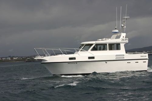 Cabinato entrobordo - Trefjar - diesel / con cabina di pilotaggio / da pesca sportiva