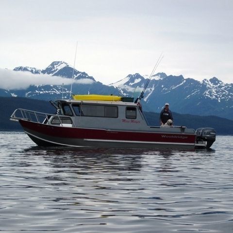 Barca da pesca e diporto fuoribordo - 29' SS PILOTHOUSE - Wooldridge - con cabina di pilotaggio / offshore / in alluminio