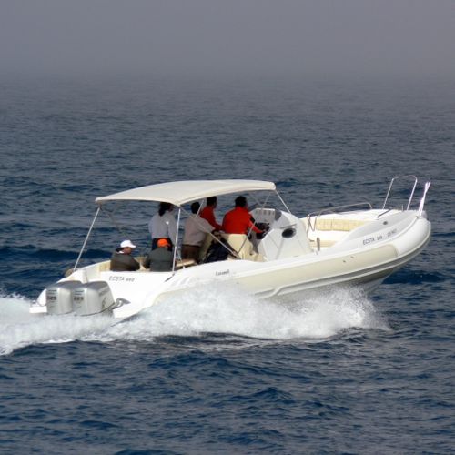 Gommone fuoribordo - CARAMEL - Mostro - bimotore / semirigido / con console centrale
