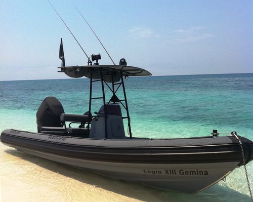 Barca professionale patrol boat - WAVERIDER 650 - GEMINI MARINE PTY LTD - fuoribordo / gommone semirigido