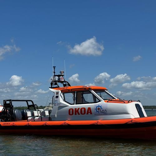 Barca professionale barca di salvataggio - WAVERIDER 1060 GRP - GEMINI MARINE PTY LTD - barca di supporto per immersioni / fuoribordo / RIB