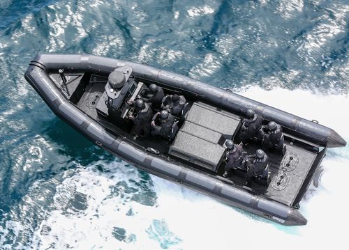 Barca professionale patrol boat - 950 RAFALE - Sillinger - barca di supporto per immersioni / imbarcazione di servizio portuale / entrobordo