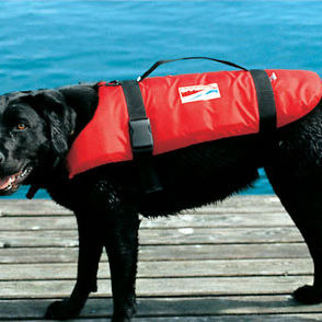 Aiuto al galleggiamento per animali domestici - CAT + DOG - Grabner GMBH, Austria - per sport nautici / in schiuma