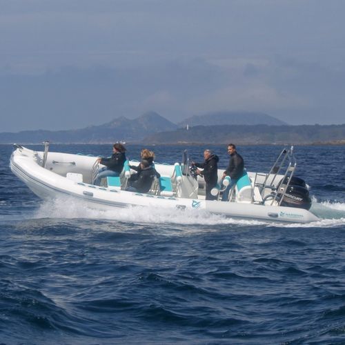 Barca professionale battello turistico - SP-800  - Narwhal - barca di supporto per immersioni / fuoribordo / gommone semirigido