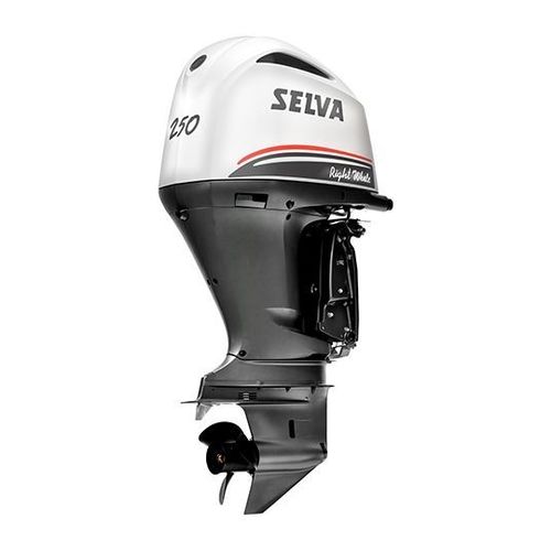 Motore fuoribordo - RIGHT WHALE 250 E.F.I. - Selva Outboard Motors - a benzina / da diporto / raffreddato ad acqua