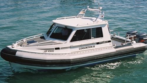 Barca professionale imbarcazione di servizio - T249XL CABIN - Titan - fuoribordo / gommone semirigido