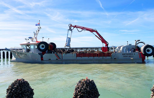 Barca professionale barca da pesca professionale - ANTARES - Chantier Naval Delavergne - entrobordo / in alluminio / con scafo rigido