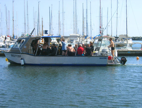 Barca professionale barca di supporto per immersioni - ALCOR - Chantier Naval Delavergne - fuoribordo / in alluminio / con scafo rigido