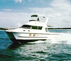 Cabinato catamarano - 3500 - Noosa Cat Australia - fuoribordo / bimotore / con fly
