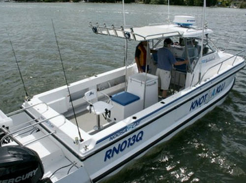 Walkaround catamarano - 3000 - Noosa Cat Australia - fuoribordo