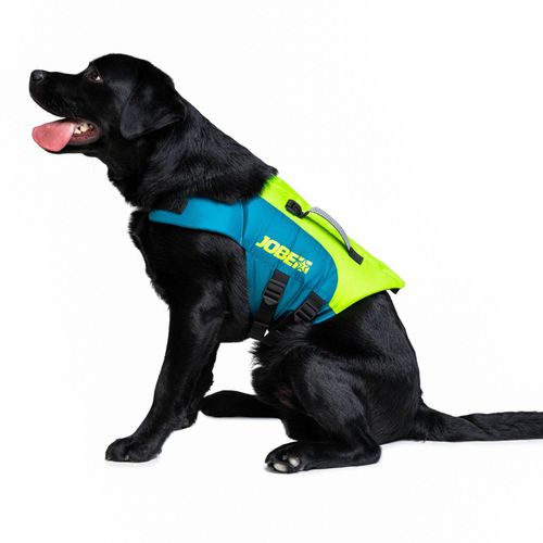 Aiuto al galleggiamento per sport nautici - Lime Teal - Jobe Sports - per animali domestici / in schiuma