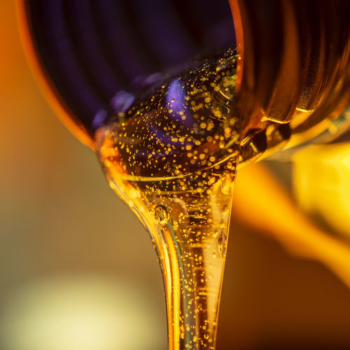 Olio sintetico - FPI9.LUBR001-TLS CK4 - FPT Industrial S.p.A. - per motore / marino
