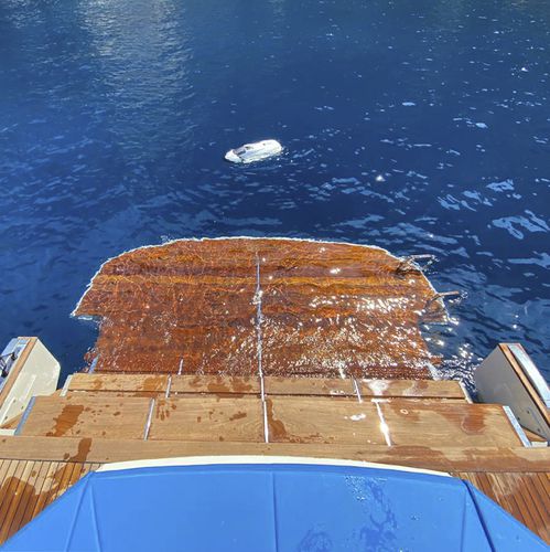 Piattaforma elevatrice - LP 200 - Besenzoni SpA - di imbarco / per barca / per yacht