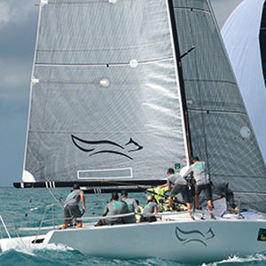 Fiocco -  FUSION M  - Quantum Sails - per imbarcazione a chiglia da regata monotipo / in carbonio / Melges 32