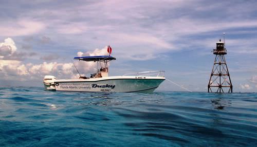 Barca open fuoribordo - 252  - Dusky Marine - da pesca sportiva / con T-top
