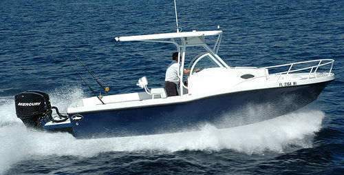 Walkaround fuoribordo - 252 CRUISER - Dusky Marine - da pesca sportiva / con T-top