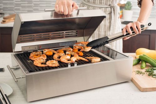 Barbecue marino elettrico - FRONTIER - Kenyon International, Inc.